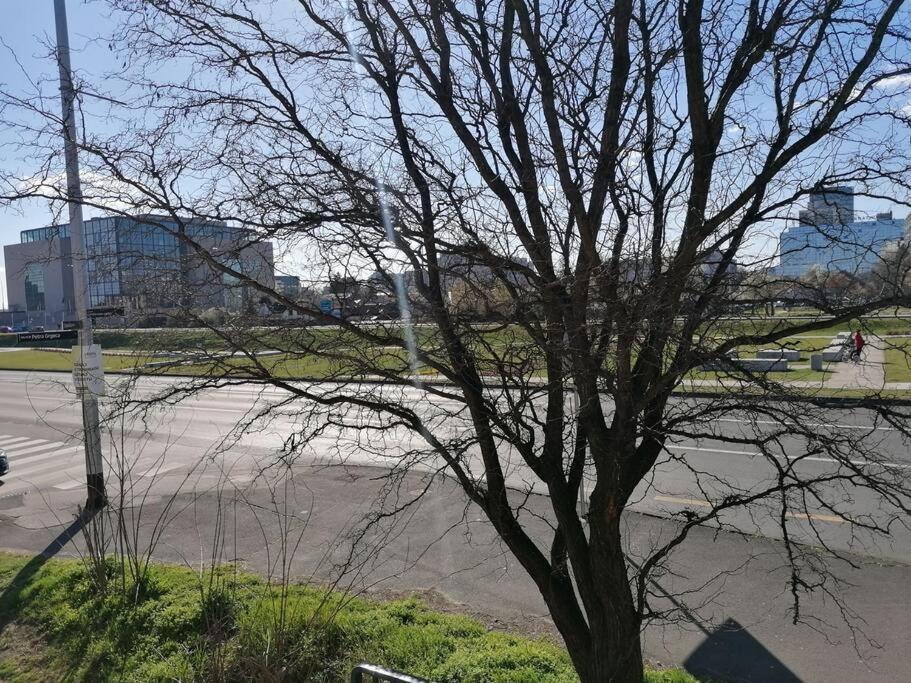 Studio Apartman Cactus Διαμέρισμα Ζάγκρεμπ Εξωτερικό φωτογραφία